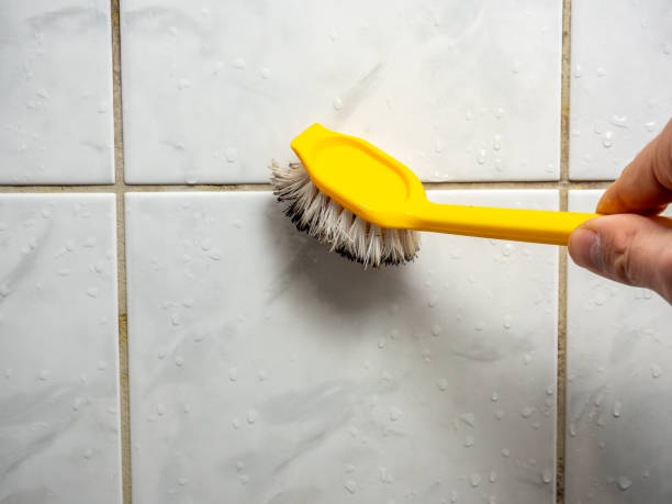 Best Mold Cleaning Services  in Frankston, TX