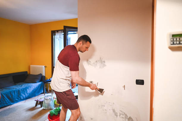Best Mold Removal Company Near Me  in Frankston, TX